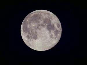 中秋の名月<br>更新日　2016年10月の画像